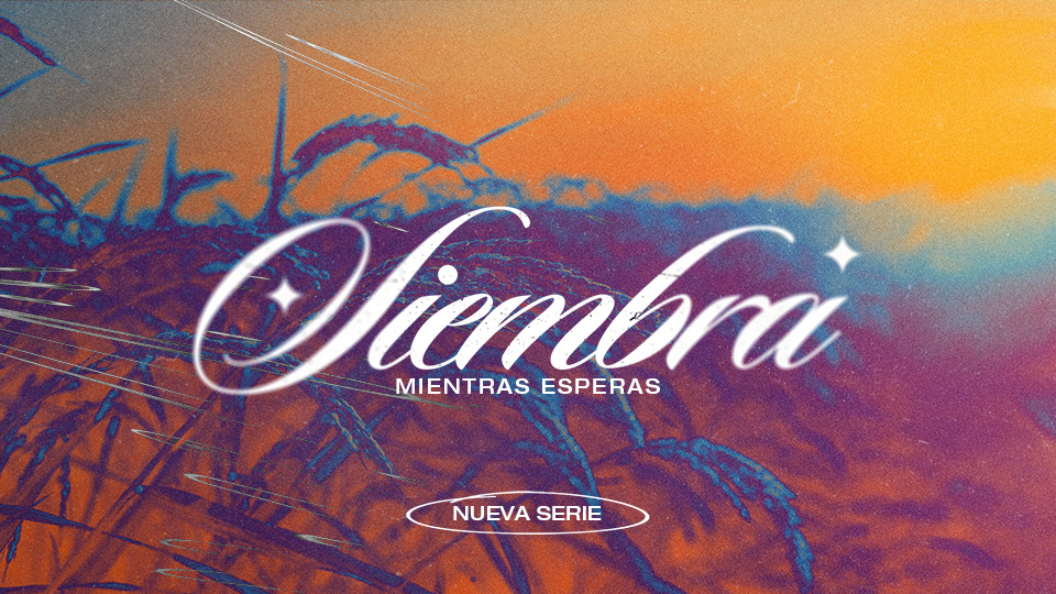 Siembra mientras esperas
